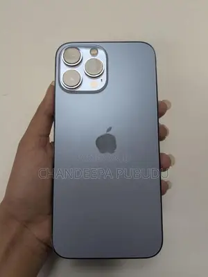 Apple iPhone 13 Pro Max (Used)