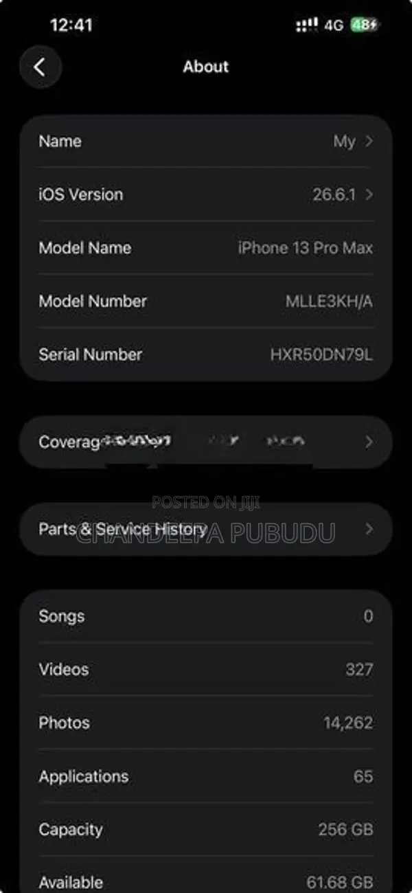 Apple iPhone 13 Pro Max (Used)