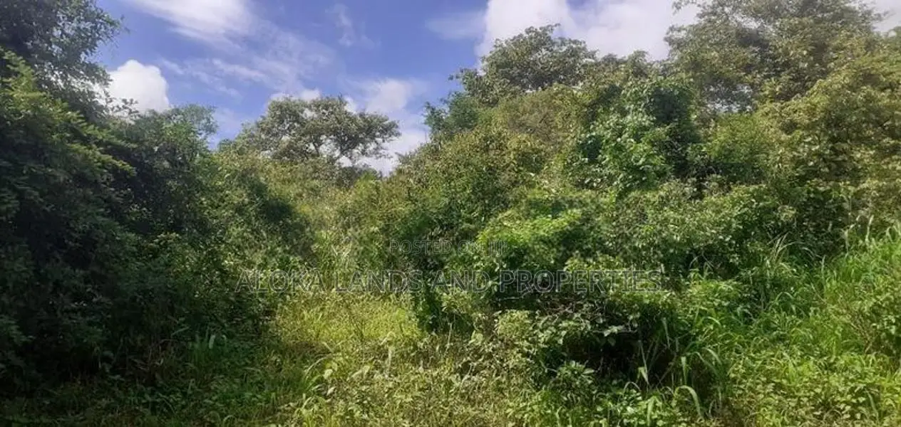 Land For Sale In Dambulla - දඹුල්ලෙන් ඉඩමක් විකිණීමට