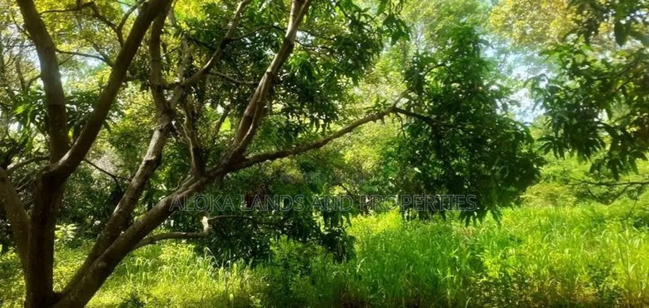 Land For Sale In Dambulla - දඹුල්ලෙන් ඉඩමක් විකිණීමට