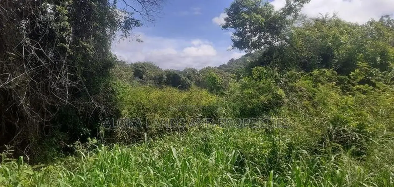 Land For Sale In Dambulla - දඹුල්ලෙන් ඉඩමක් විකිණීමට