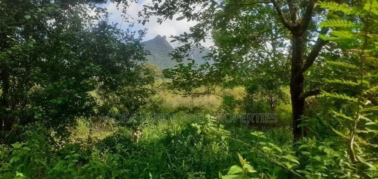 Land For Sale In Dambulla - දඹුල්ලෙන් ඉඩමක් විකිණීමට