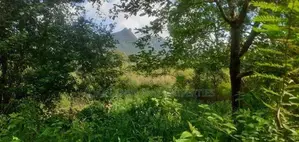 Land For Sale In Dambulla - දඹුල්ලෙන් ඉඩමක් විකිණීමට
