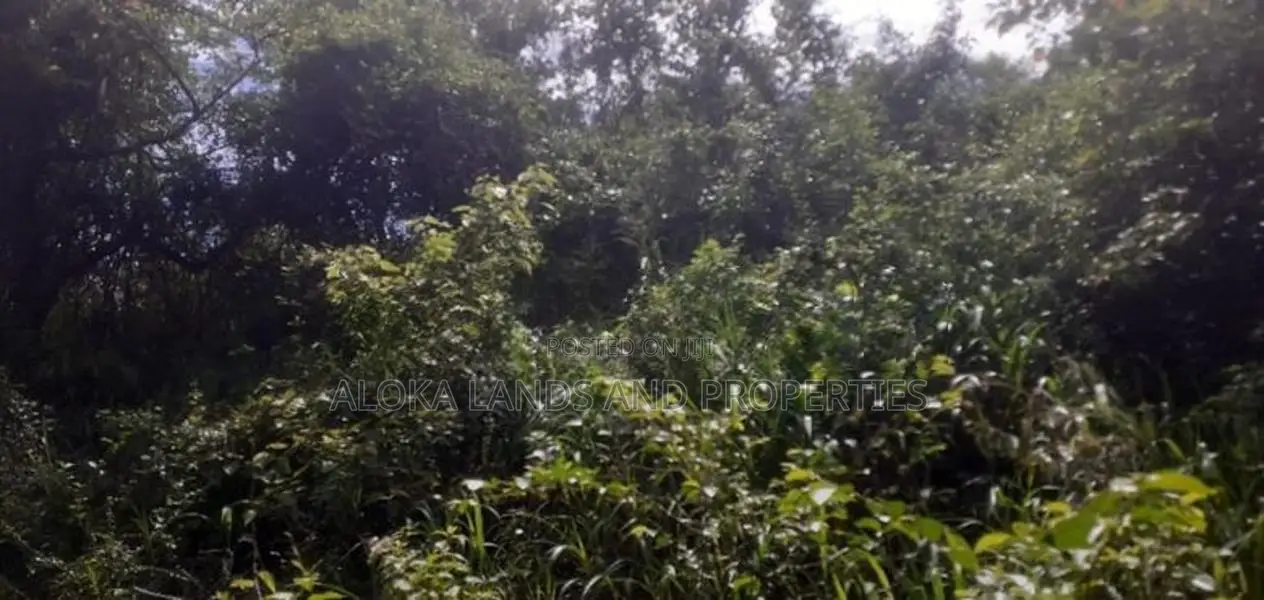 Land For Sale In Dambulla - දඹුල්ලෙන් ඉඩමක් විකිණීමට