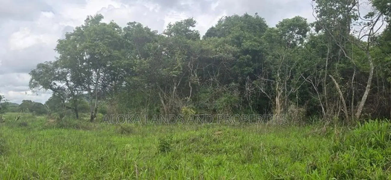 Land For Sale In Inamaluwa - ඉනාමළුවෙන් ඉඩමක් විකිණීමට Sigiriya