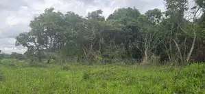 Land For Sale In Inamaluwa - ඉනාමළුවෙන් ඉඩමක් විකිණීමට Sigiriya