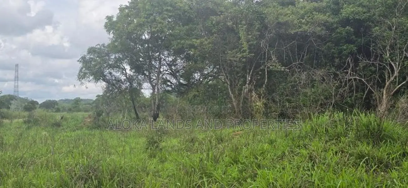 Land For Sale In Inamaluwa - ඉනාමළුවෙන් ඉඩමක් විකිණීමට Sigiriya