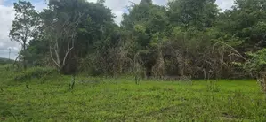 Land For Sale In Inamaluwa - ඉනාමළුවෙන් ඉඩමක් විකිණීමට Sigiriya