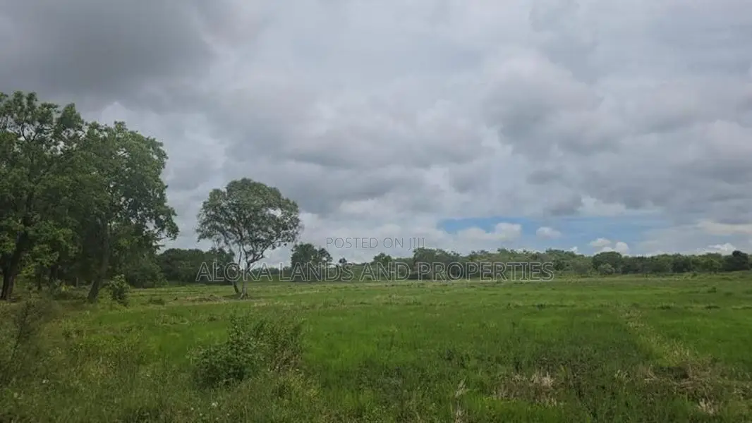 Land For Sale In Inamaluwa - ඉනාමළුවෙන් ඉඩමක් විකිණීමට Sigiriya