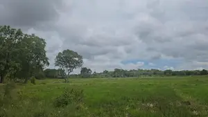 Land For Sale In Inamaluwa - ඉනාමළුවෙන් ඉඩමක් විකිණීමට Sigiriya