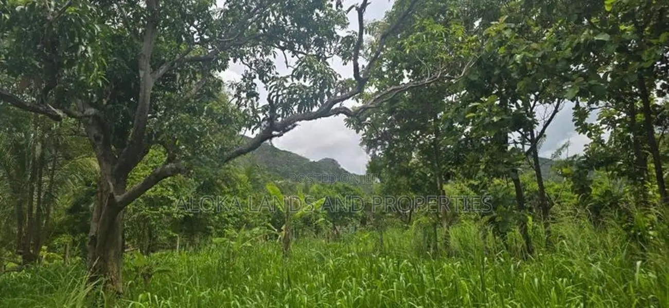 Land for Sale in Dambulla - දඹුල්ලෙන් අනර්ග ඉඩමක් විකිණීමට