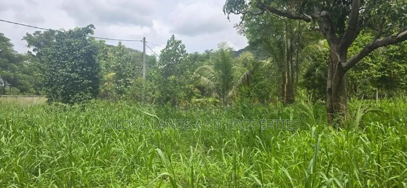 Land for Sale in Dambulla - දඹුල්ලෙන් අනර්ග ඉඩමක් විකිණීමට