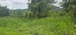 Land for Sale in Dambulla - දඹුල්ලෙන් අනර්ග ඉඩමක් විකිණීමට