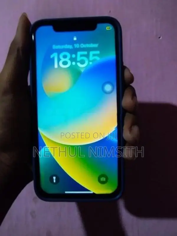 Apple iPhone X (Used)