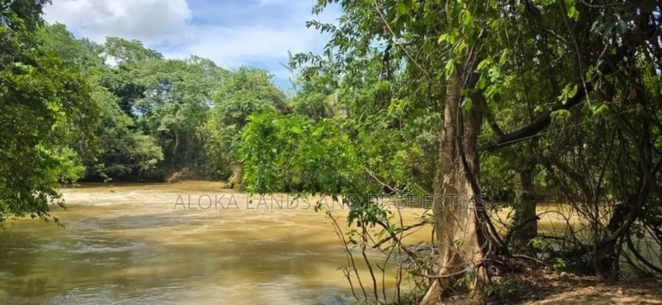Land For Sale In Dambulla - දඹුල්ලෙන් අනර්ග ඉඩමක් විකිණීමට