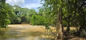 Land For Sale In Dambulla - දඹුල්ලෙන් අනර්ග ඉඩමක් විකිණීමට