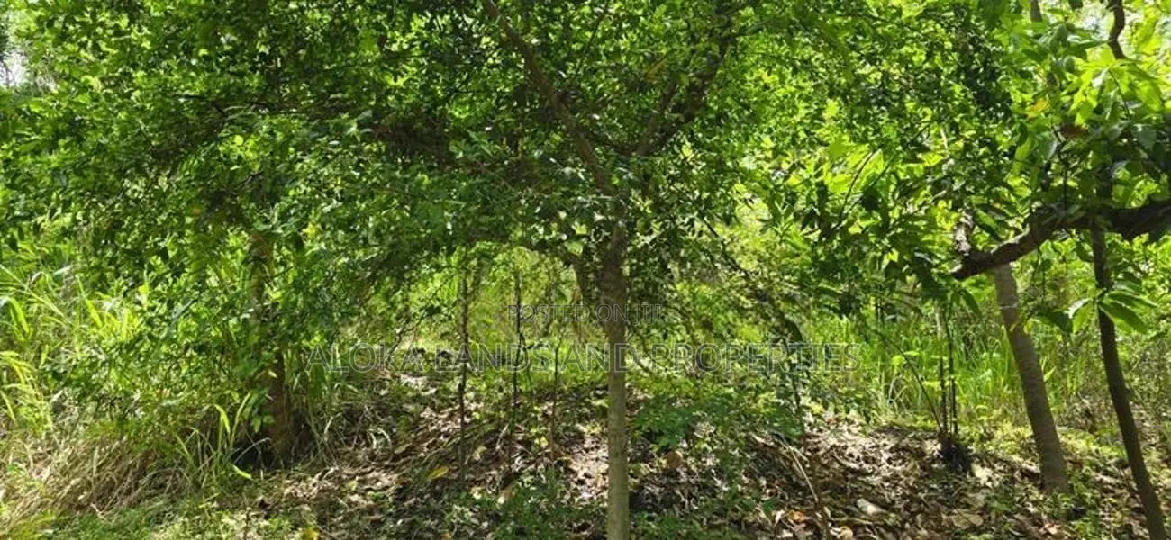 Land For Sale In Dambulla - දඹුල්ලෙන් අනර්ග ඉඩමක් විකිණීමට