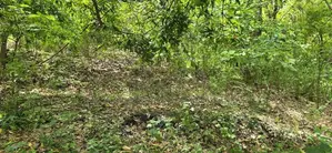 Land For Sale In Dambulla - දඹුල්ලෙන් අනර්ග ඉඩමක් විකිණීමට