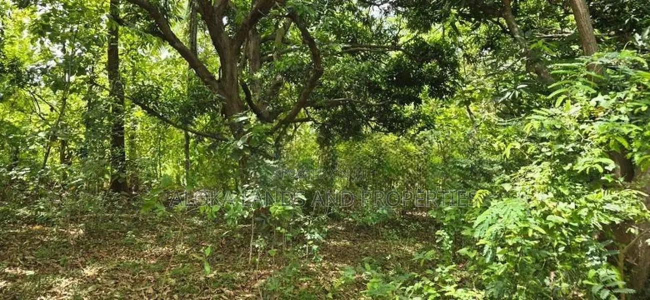 Land For Sale In Dambulla - දඹුල්ලෙන් අනර්ග ඉඩමක් විකිණීමට