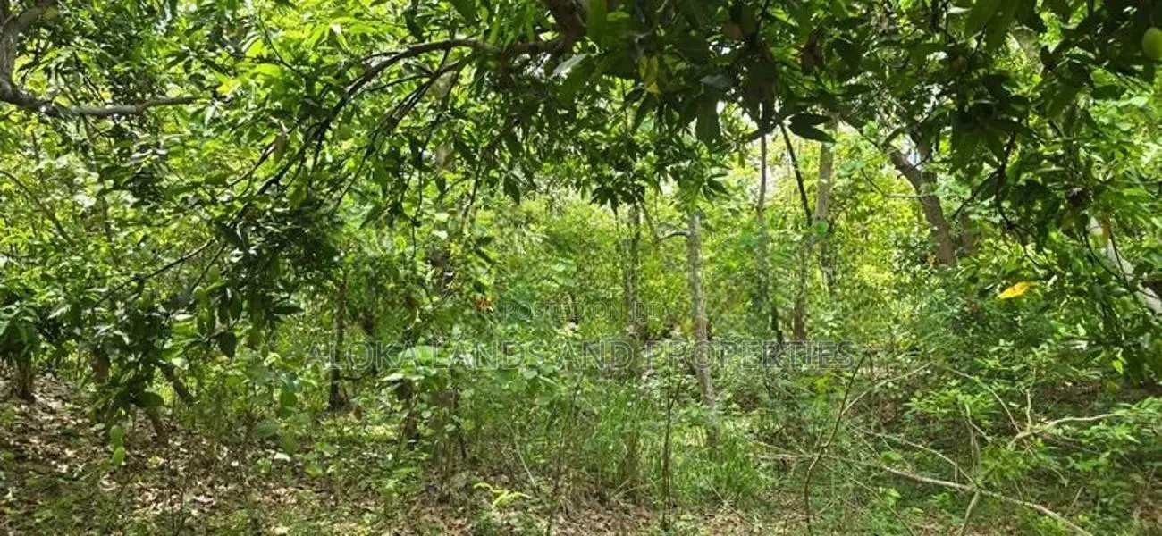 Land For Sale In Dambulla - දඹුල්ලෙන් අනර්ග ඉඩමක් විකිණීමට