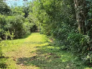 දඹුල්ල කණ්ඩලමෙන් අනර්ග ඉඩමක් විකිණීමට