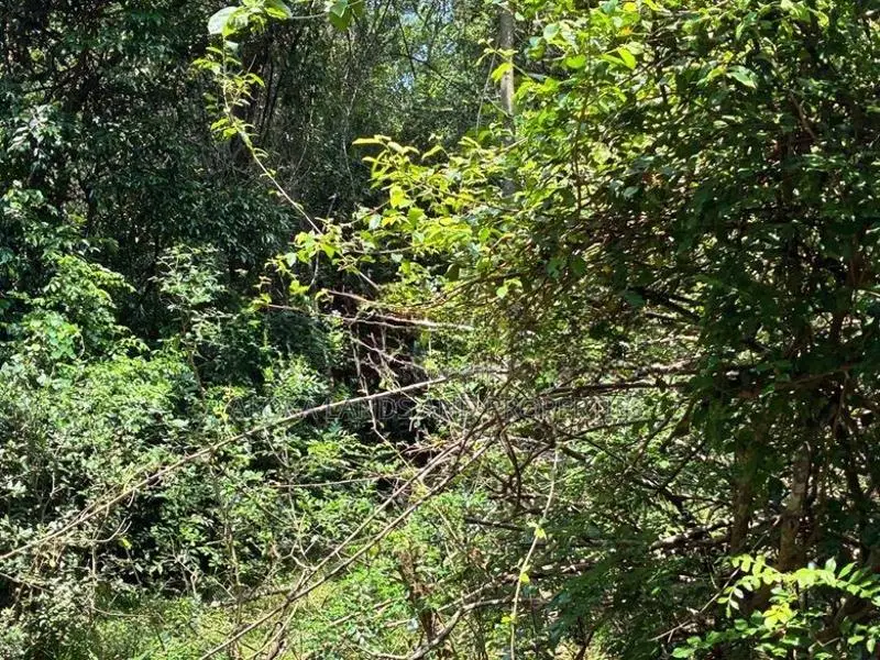 දඹුල්ල කණ්ඩලමෙන් අනර්ග ඉඩමක් විකිණීමට