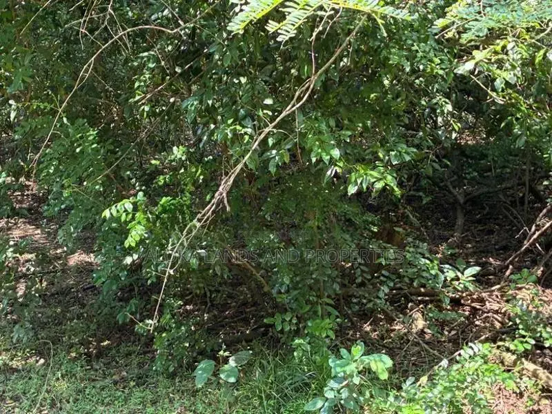 දඹුල්ල කණ්ඩලමෙන් අනර්ග ඉඩමක් විකිණීමට