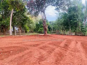 Land For Sale In Dambulla - දඹුල්ලෙන් අනර්ග ඉඩමක් විකිණීමට