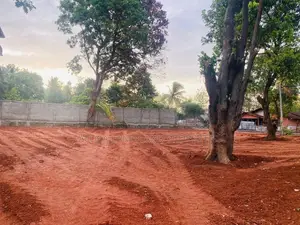 Land For Sale In Dambulla - දඹුල්ලෙන් අනර්ග ඉඩමක් විකිණීමට