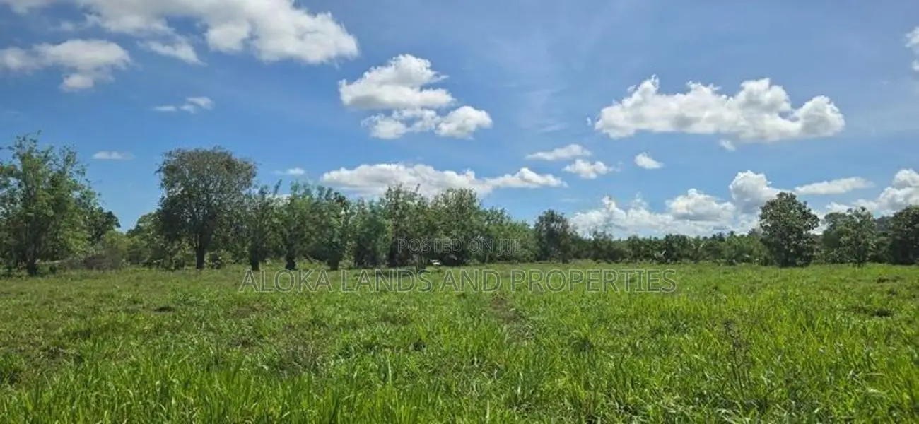 Land For Sale In Dambulla Town - දඹුල්ලෙන් අනර්ග ඉඩමක් විකිණීමට