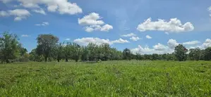 Land For Sale In Dambulla Town - දඹුල්ලෙන් අනර්ග ඉඩමක් විකිණීමට