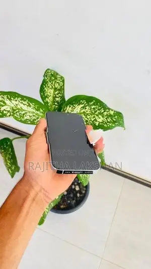Apple iPhone 14 Pro (Used)