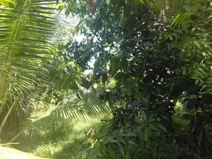 Valuable Land For Sale Borelesgamuwa In Boralesgamuwa
