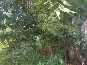 Valuable Land For Sale Borelesgamuwa In Boralesgamuwa