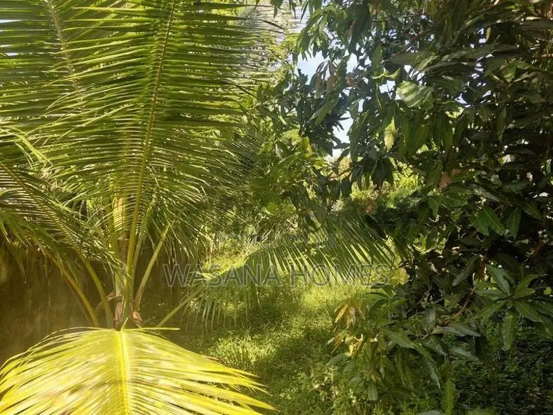 Valuable Land For Sale Borelesgamuwa In Boralesgamuwa