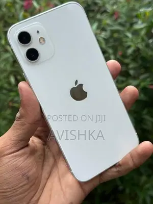 Apple iPhone 12 (Used)