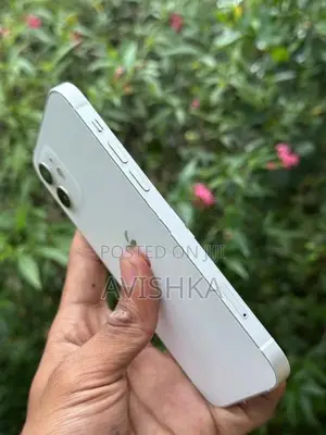 Apple iPhone 12 (Used)