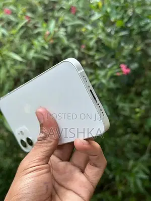 Apple iPhone 12 (Used)