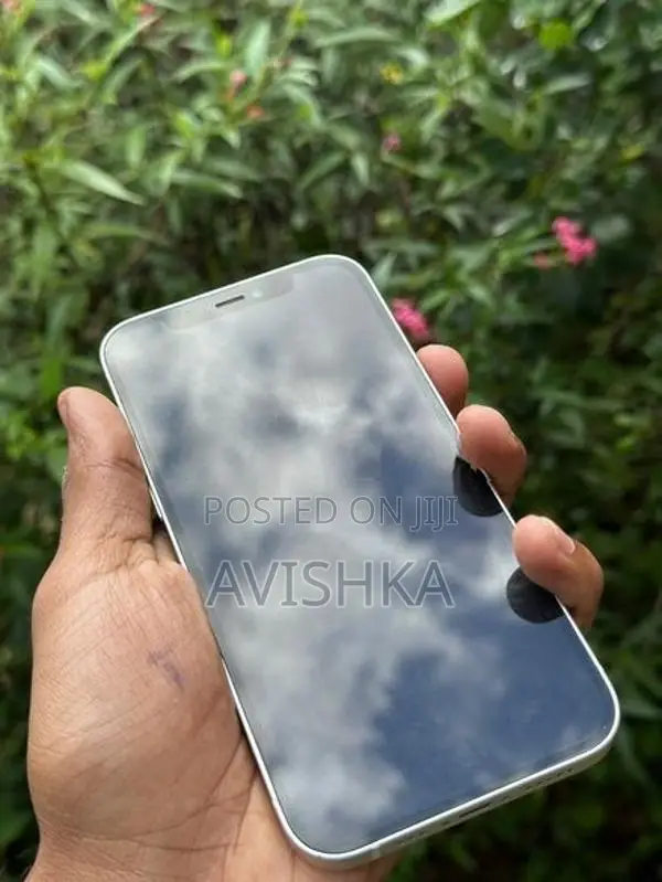 Apple iPhone 12 (Used)