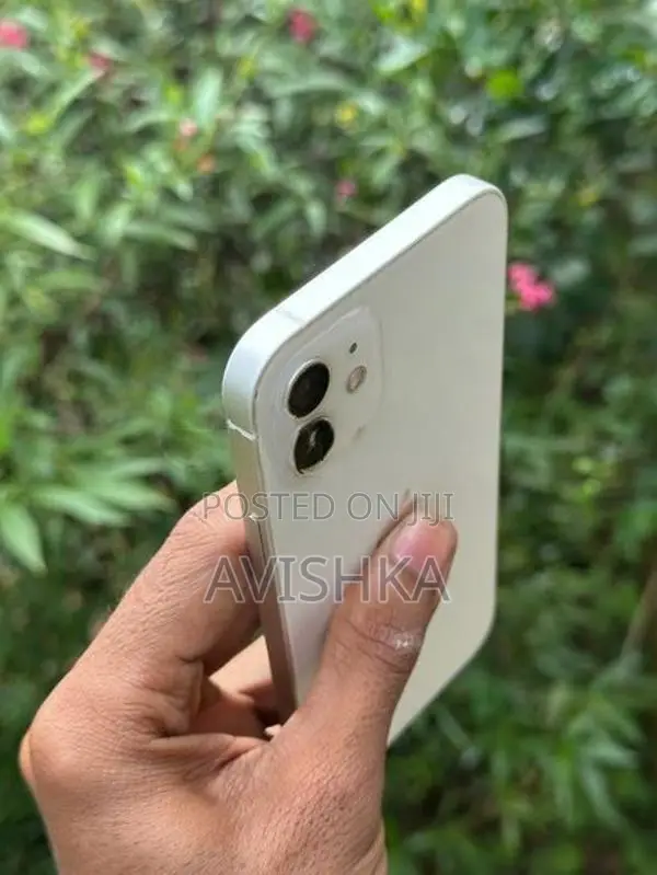Apple iPhone 12 (Used)