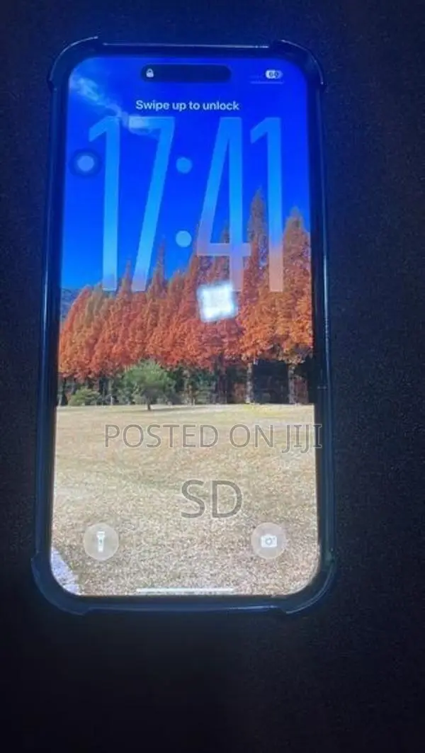 Apple iPhone 16 Pro Max 256GB (Used)