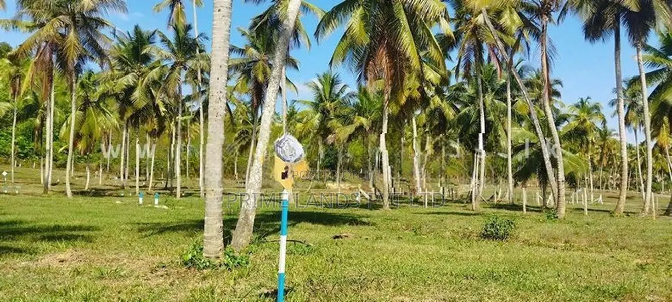 නාරම්මල ඉඩමක් විකිණීමට