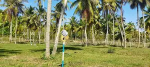 නාරම්මල ඉඩමක් විකිණීමට