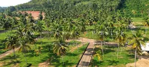 නාරම්මල ඉඩමක් විකිණීමට