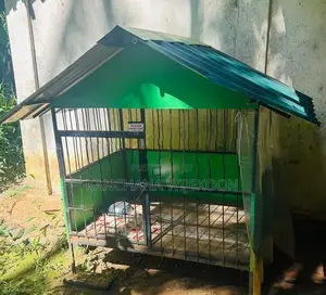 Dog Cage