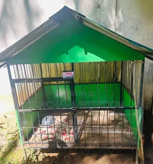 Dog Cage