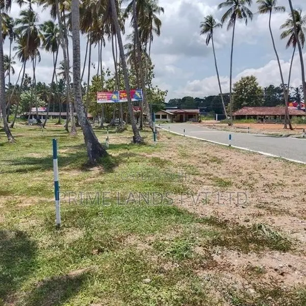 කුරුණෑගල පැල්ලන්දෙනිය හන්දියෙන් ඉඩමක් විකිණීමට