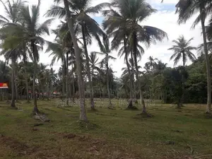 කුලියාපිටිය බොවත්ත ප්‍රධාන පාරෙන් ඉඩමක් විකිණීමට