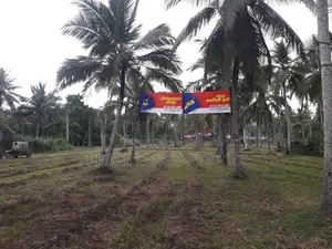 කුලියාපිටිය බොවත්ත ප්‍රධාන පාරෙන් ඉඩමක් විකිණීමට