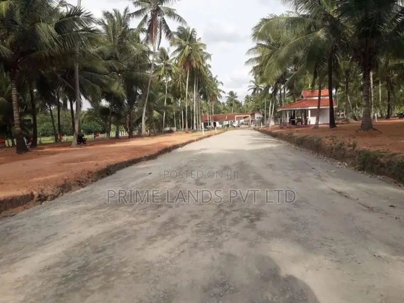 අනුරාධපුර පාදෙණිය ප්‍රධාන පාරෙන් ඉඩමක් විකිණීමට